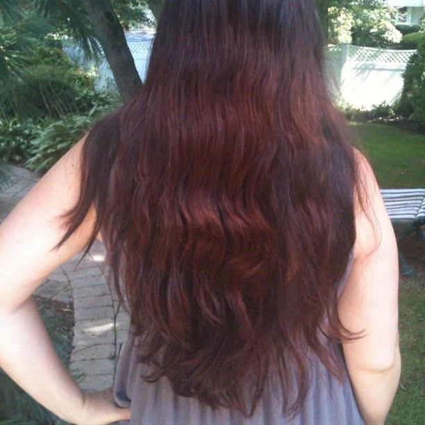 The Long Hair Community Discussion Boards