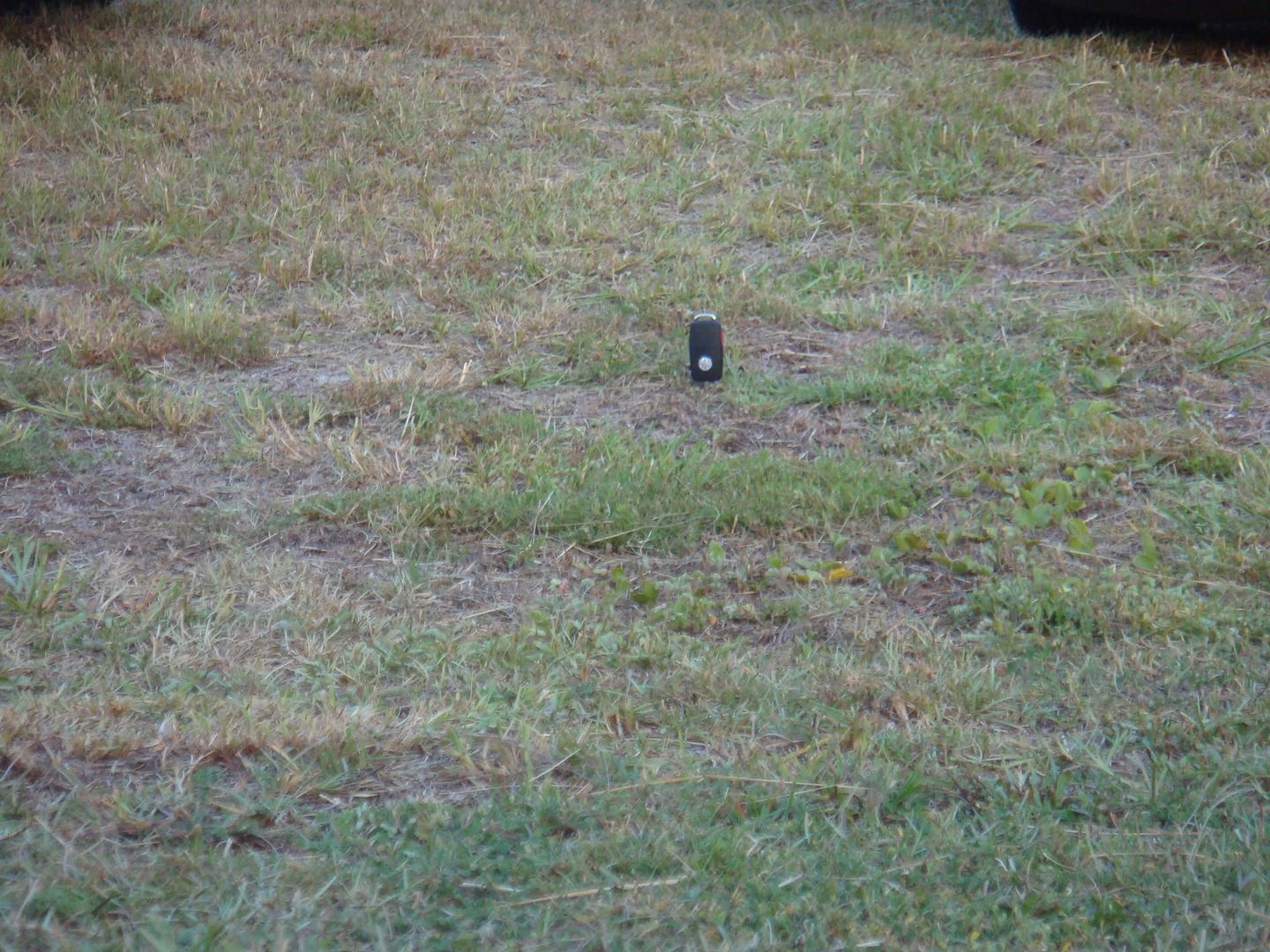 start off with my daily 2 point slow then my garage queen