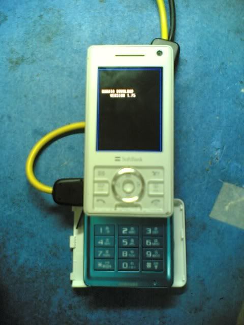 10052008.jpg