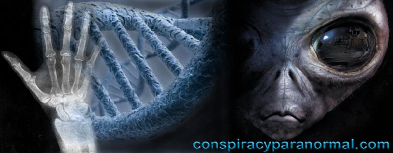 www.conspiracyparanormal.com banner link for conspiracyparanormal.blogspot.com blog, This 960 pixel wide banner depicting human and alien DNA splicing and human hybridization is posted on my Conspiracy Theories and Paranormal Phenomena blog at conspiracyparanormal.blogspot.com and is hyperlinked to my new website www.conspiracyparanormal.com