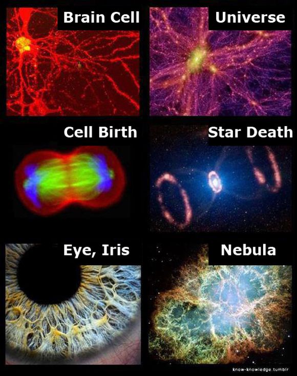intelligent universe human brain same pattern you cannot tell the difference photo intelligent-universe-human-brain-same-pattern_zps7088935b.jpg