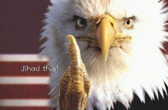 jihad this, Jihad This! American Bald Eagle flips the bird at Islamic extremists, and that includes Obama.