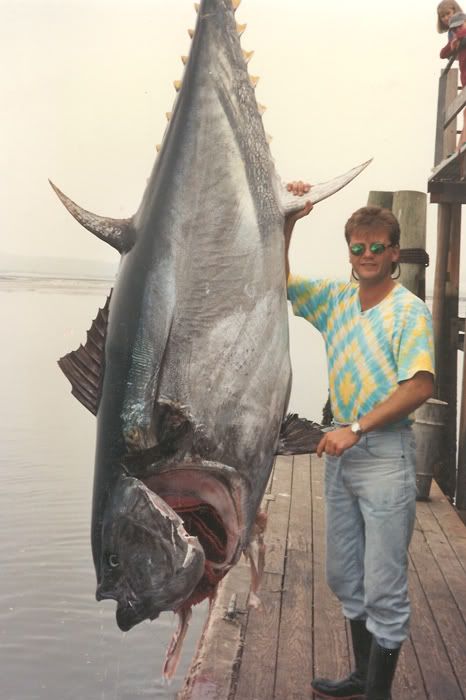 meanest--bluefin.jpg