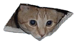 Ceiling_Cat_Template.png