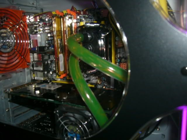 P1070217.jpg