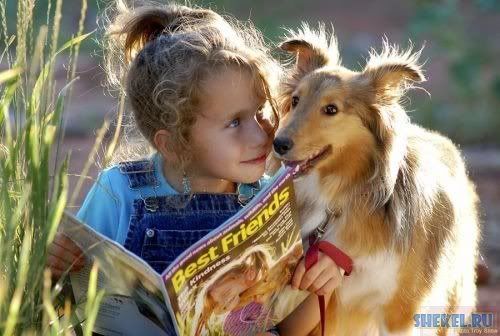 Dog and Child Pictures, Images and Photos