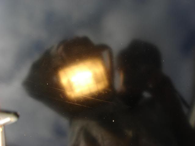 DSC01577.jpg