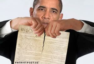  photo obama-rip-constitution.jpg