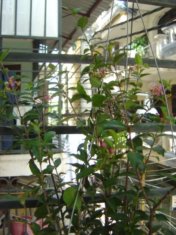 Photo Sharing and Video Hosting at Photobucket