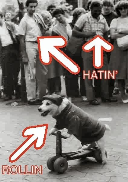 dogontrikezh9.jpg