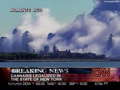 nylegalizesBIZUD.jpg