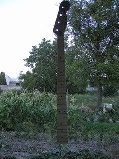 http://i69.photobucket.com/albums/i49/pista58/01.jpg