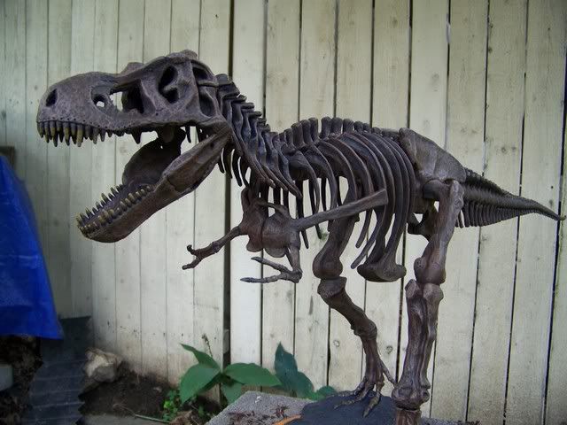 100_2086.jpg
