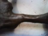 DSC00232-1.jpg