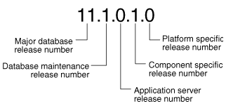 oracle database release number