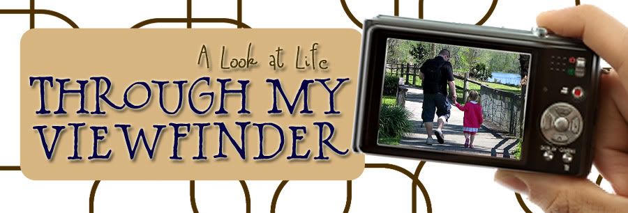 A look at life through my viewfinder