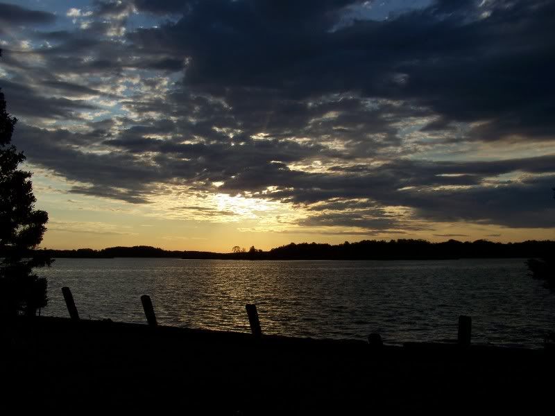 000_1682.jpg picture by muskygirl