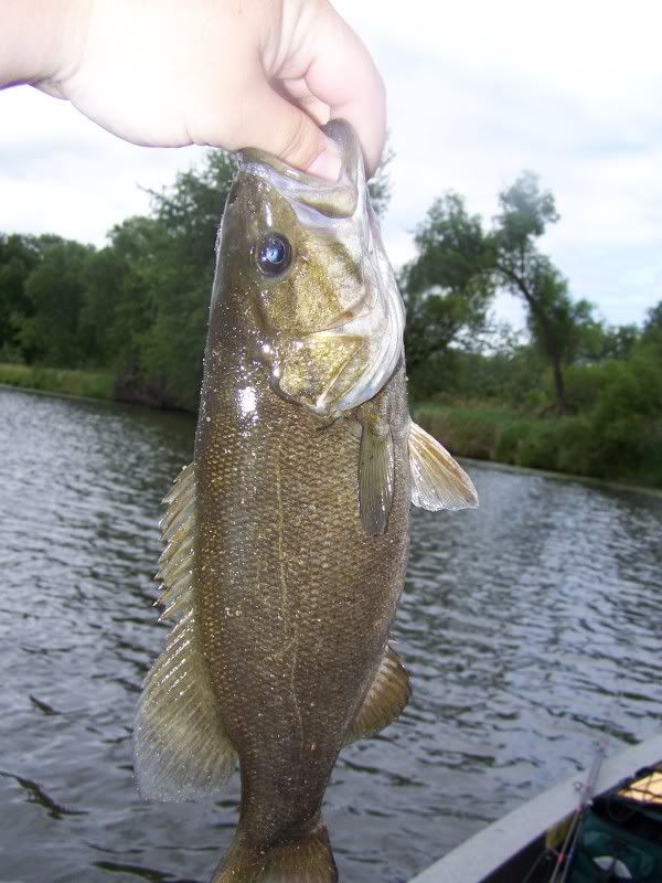000_1874.jpg picture by muskygirl