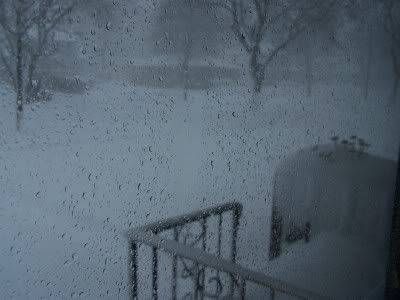 snow-1.jpg picture by muskygirl