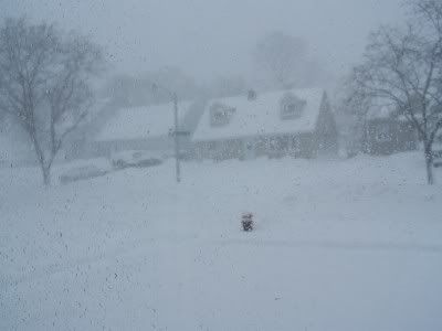 snow2.jpg picture by muskygirl