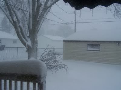 snow4.jpg picture by muskygirl