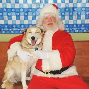 MaxFund's Cheyenne with Human Assistant Santa