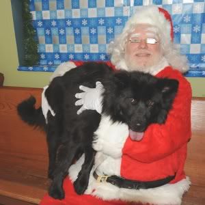 MaxFund's Mambo with Human Assistant Santa