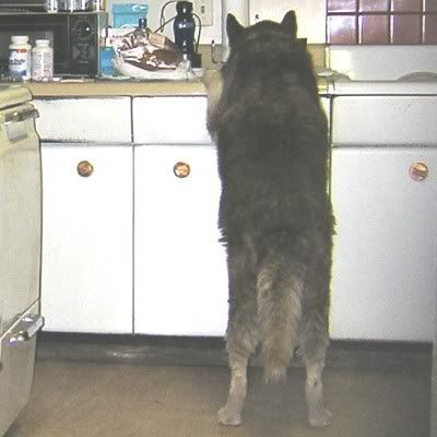 Tucker checks the counter