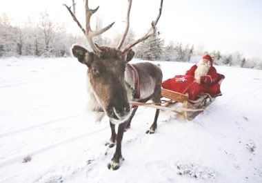 A reindeer pulling Santa in sled #3