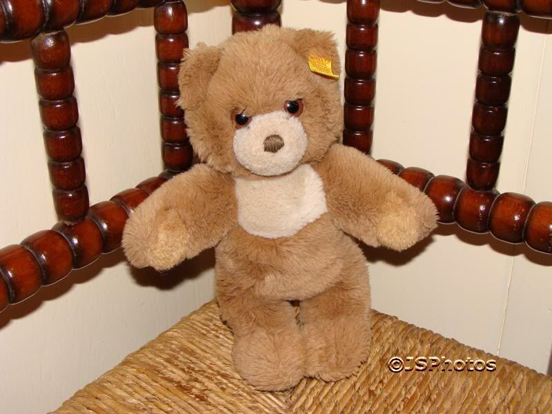 teddy bear cosy