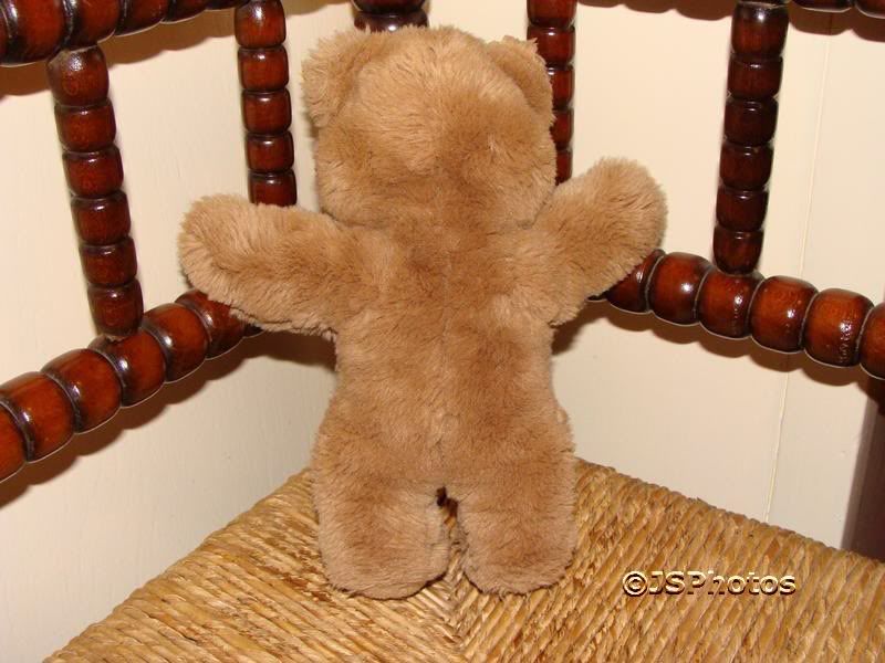 steiff cosy teddy bear