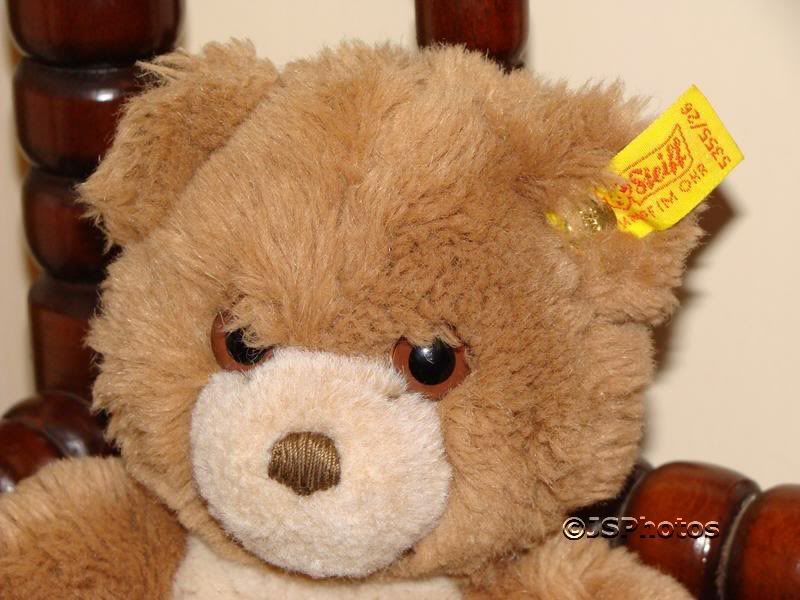 steiff cosy teddy bear