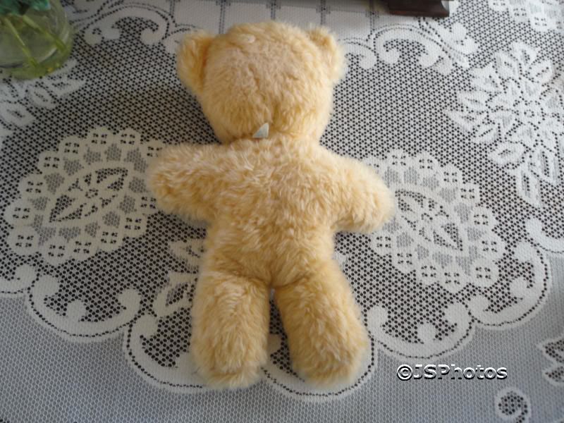 pedigree teddy bear