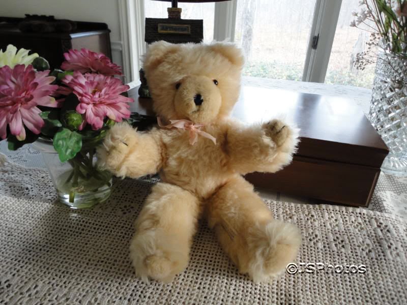 wendy boston teddy bear price