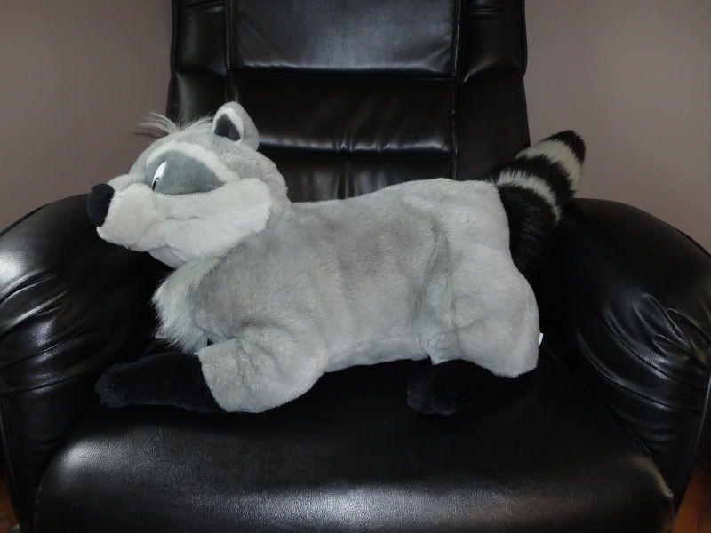 pocahontas raccoon stuffed animal