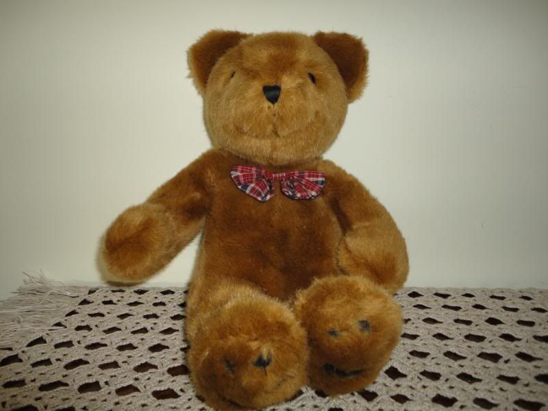 educational talking teddy bear