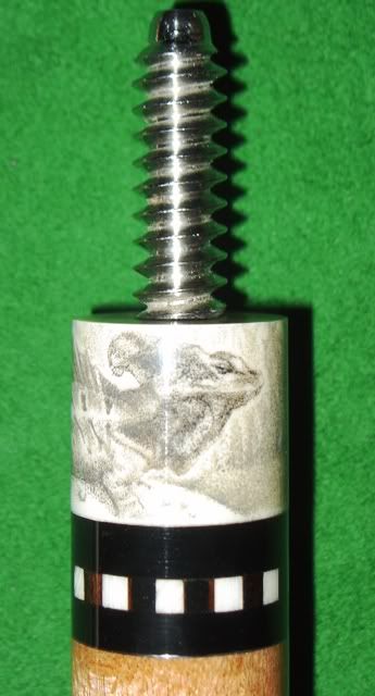 lizardsg10005.jpg