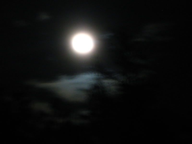 001-10.jpg