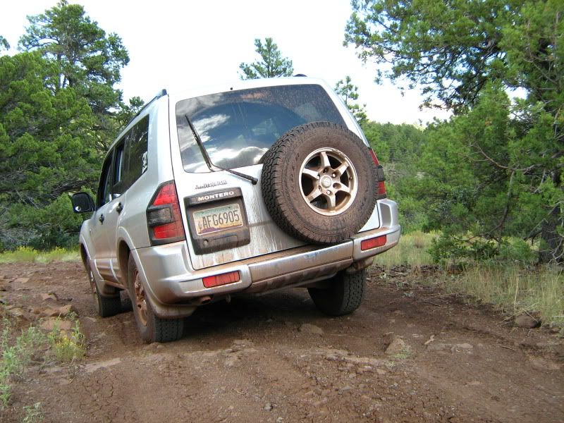 006-7.jpg