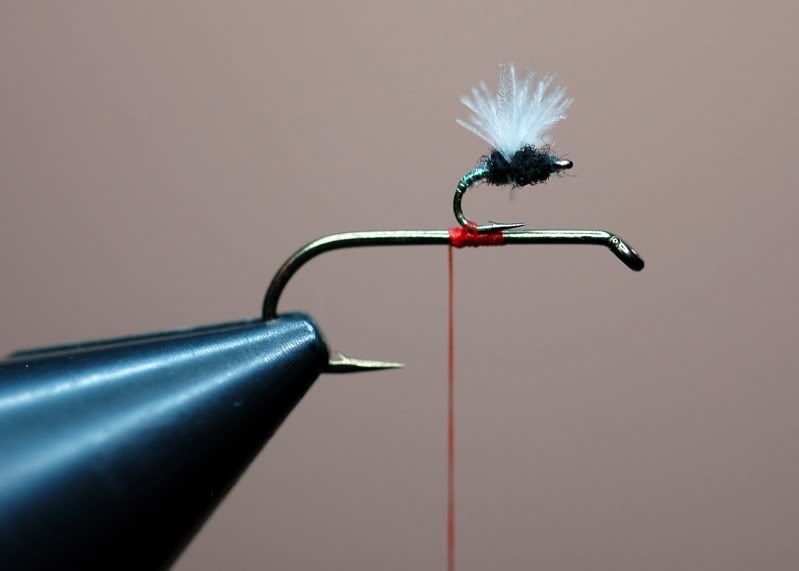 Smallest fly I have ever tied  Ohio Sportsman - Your Ohio Hunting