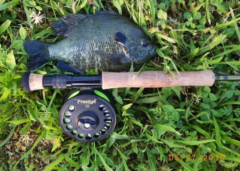 3 more Fish Ohio's, fly rod Master Angler complete Ohio Game Fishing