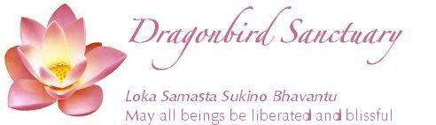 Dragonbird Sanctuary