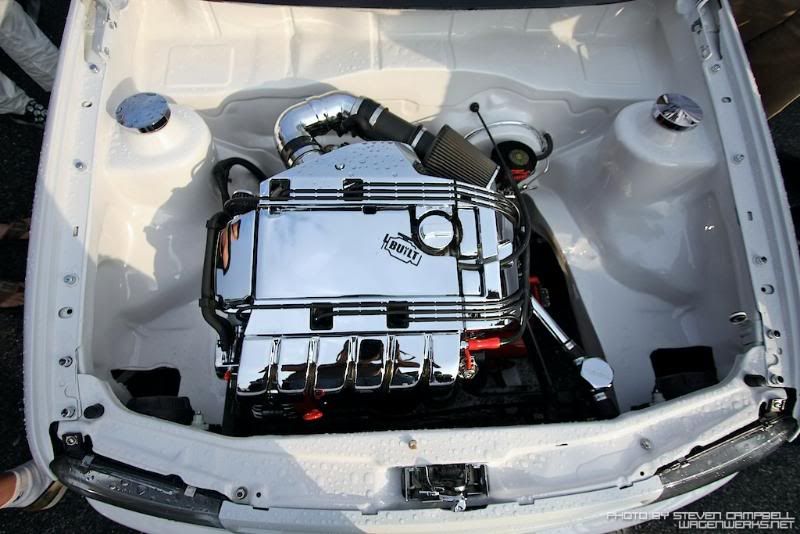 [Image: wwh2o2008-238.jpg]