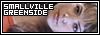 Smallville Greenside