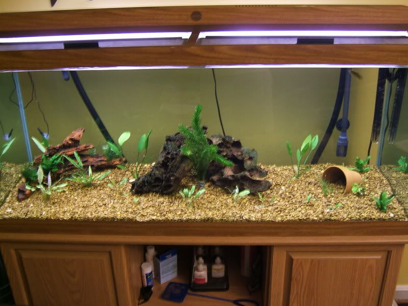 75gal-1.jpg