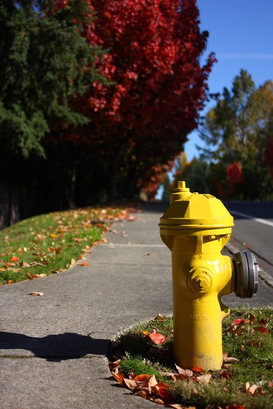 hydrant-1.jpg