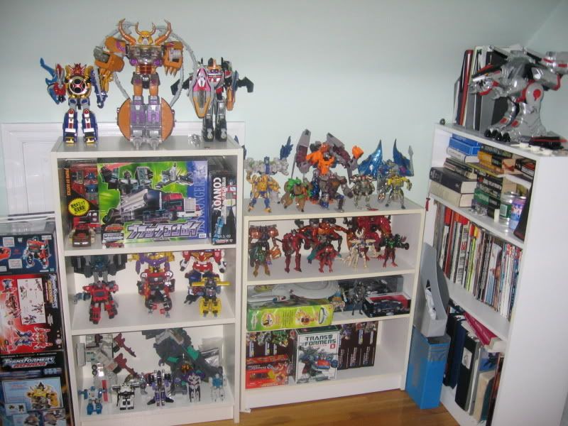 Collection_June3_2006.jpg