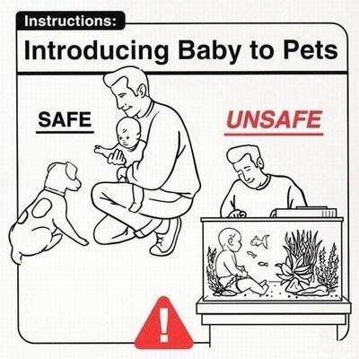 Instructions_for_paren-1.jpg