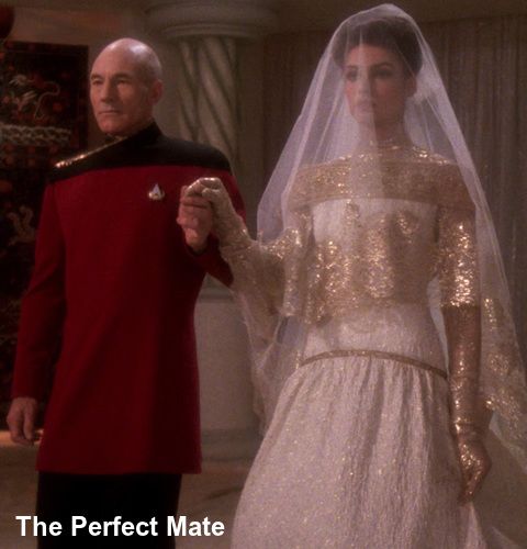 the-perfect-mate-hd-363_zpsbtfea8gv.jpg