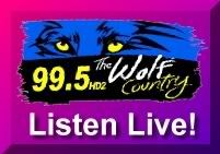 99.5 WYCD, HD2, THE WOLF